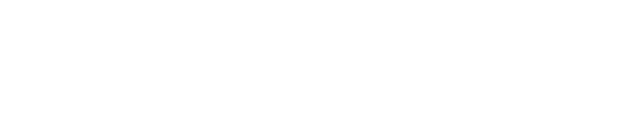 TOPFLY GPS solutions